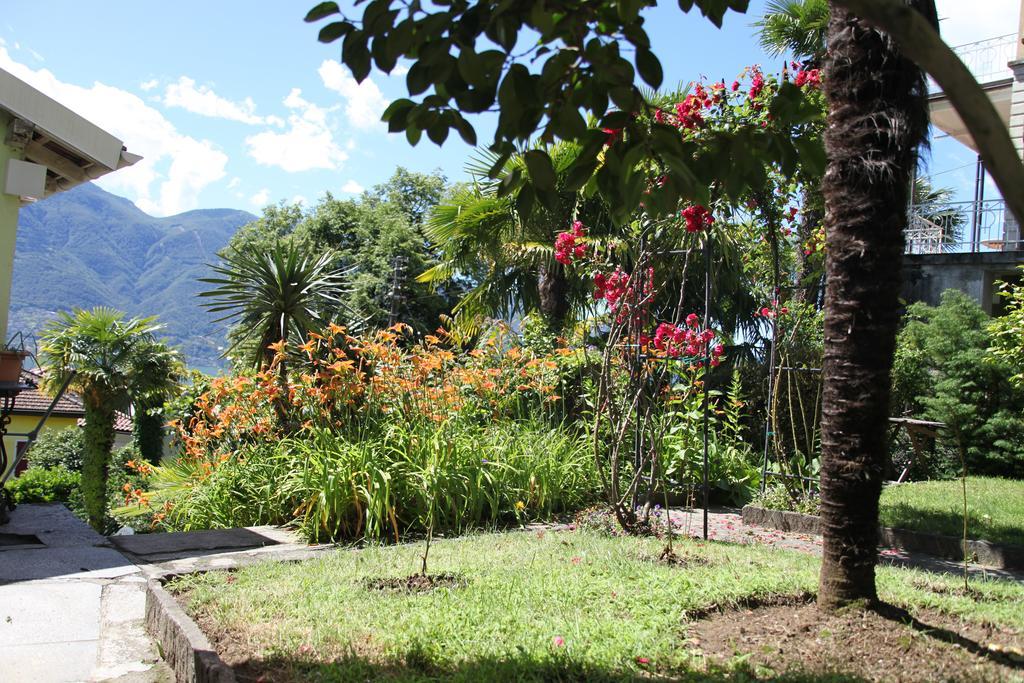 Hotel Garni Dolcevita Locarno Exteriér fotografie